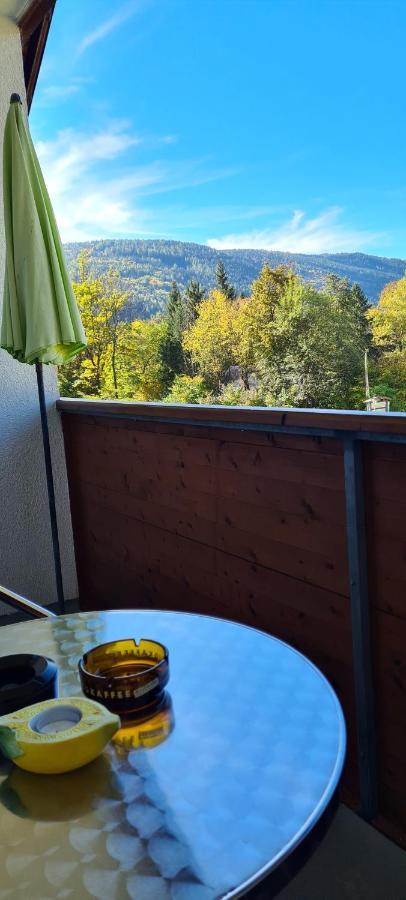 Ferienwohnung Edeltraud, Fusslaeufig Zum See Und 20 Minuten Vom Skigebiet Entfernt Дебріах Екстер'єр фото